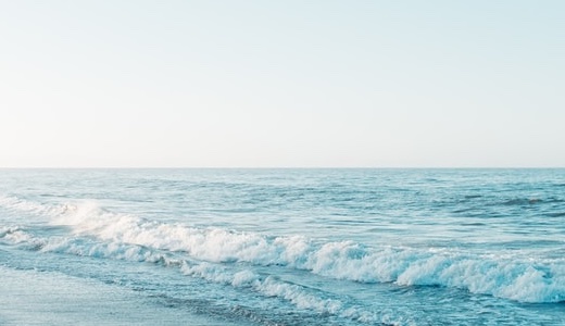 Necesseボス図鑑｜全ボス HP・攻撃力・ドロップ・出現場所データベース