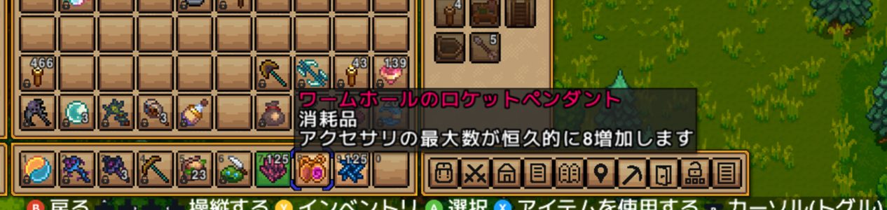 ワームホールのロケットペンダント